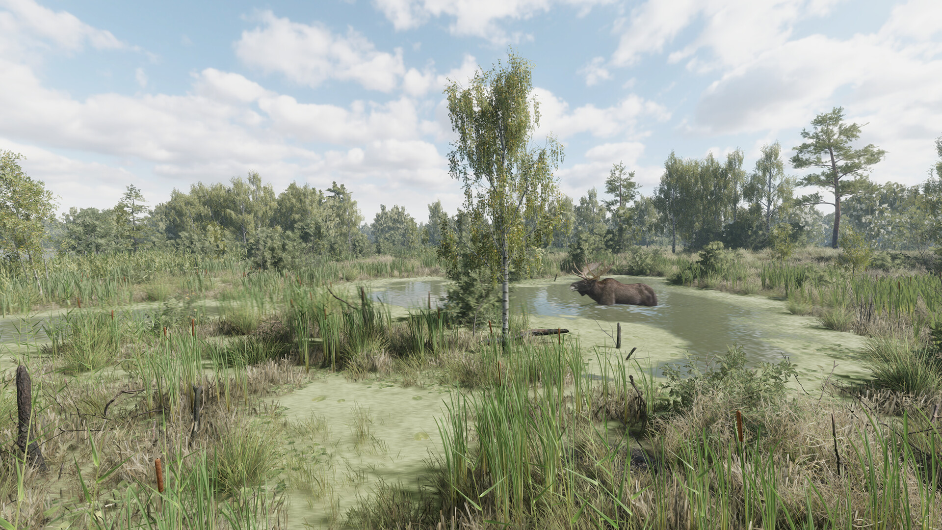 #4. On the Hunt (Steam) بواسطة: Alekseev