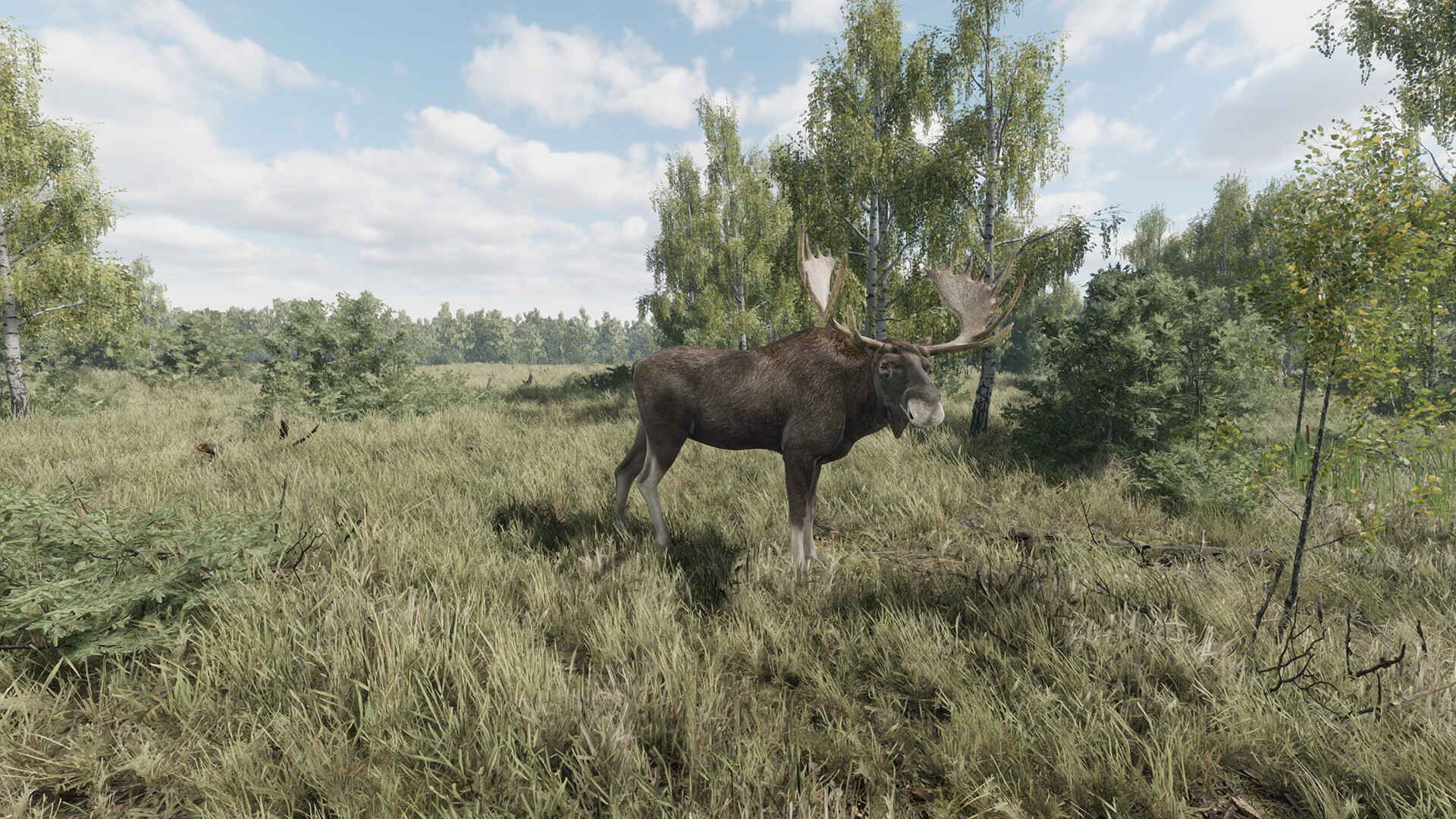 #7. On the Hunt (Steam) بواسطة: Alekseev