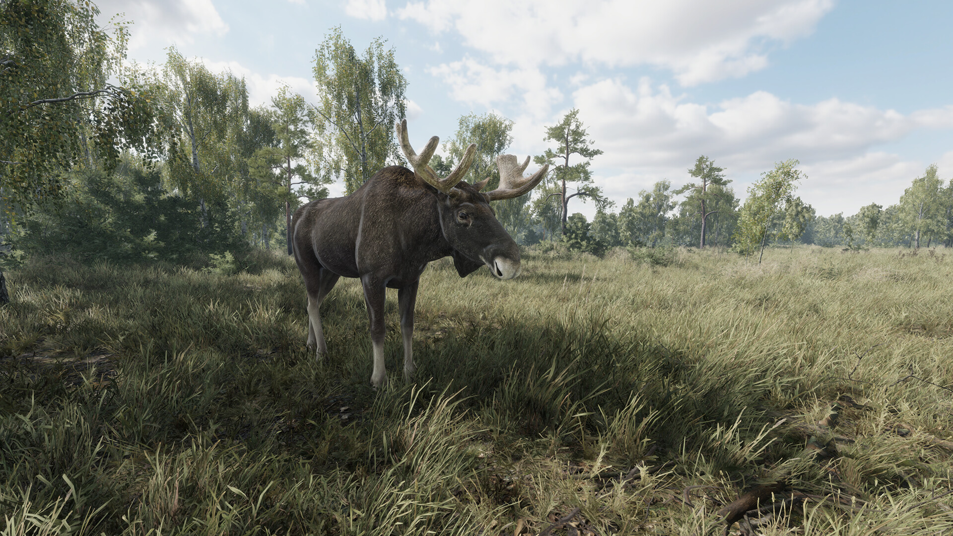 #2. On the Hunt (Steam) بواسطة: Alekseev