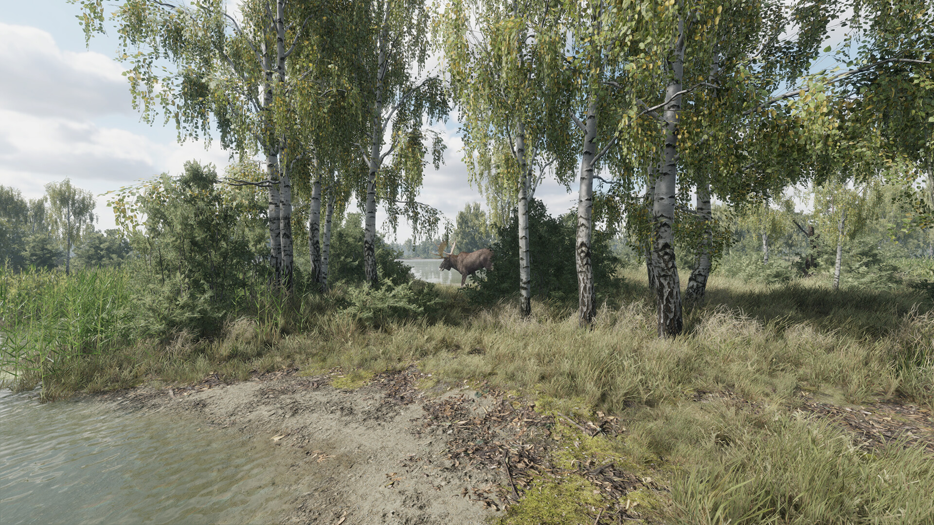 #10. On the Hunt (Steam) بواسطة: Alekseev