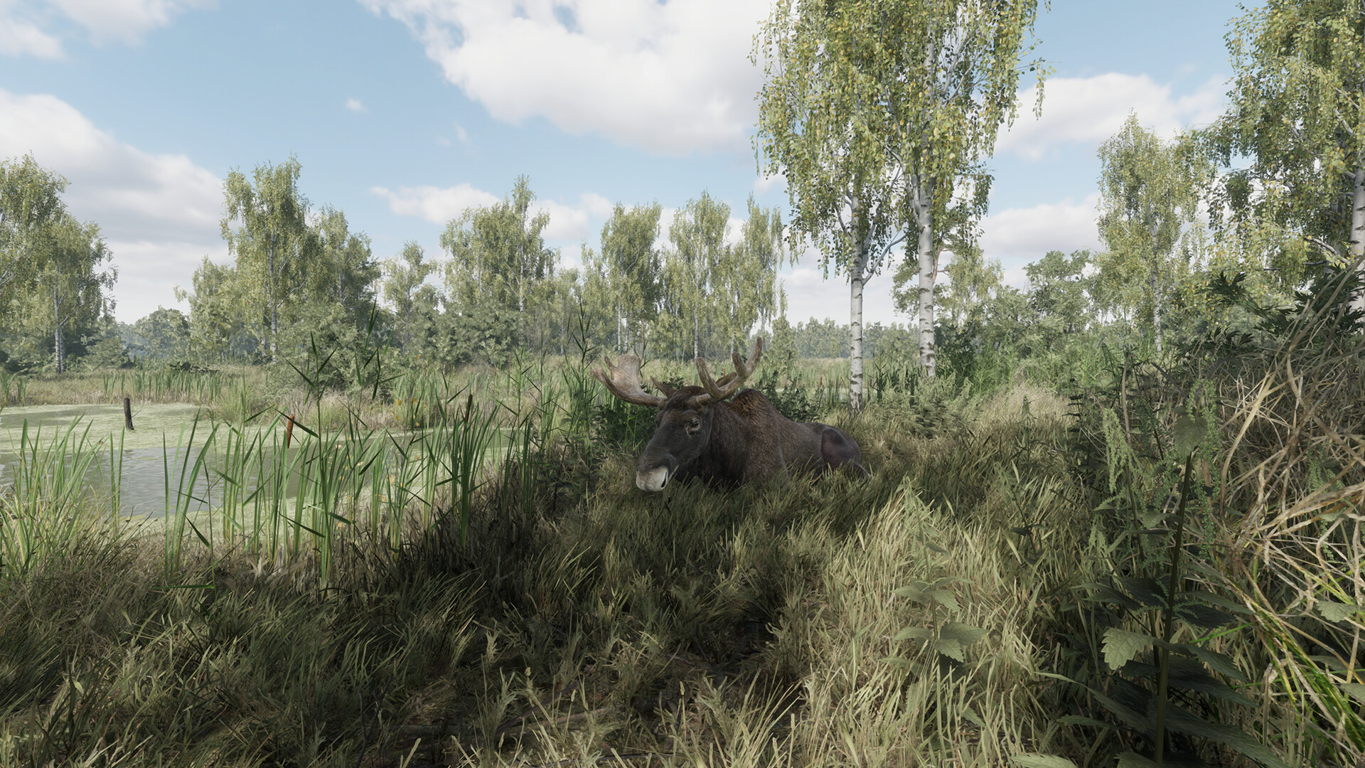 #3. On the Hunt (Steam) بواسطة: Alekseev