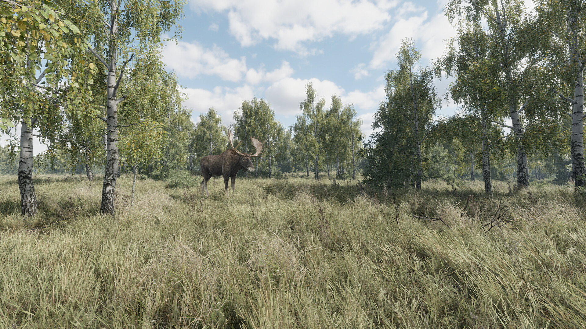 #1. On the Hunt (Steam) بواسطة: Alekseev