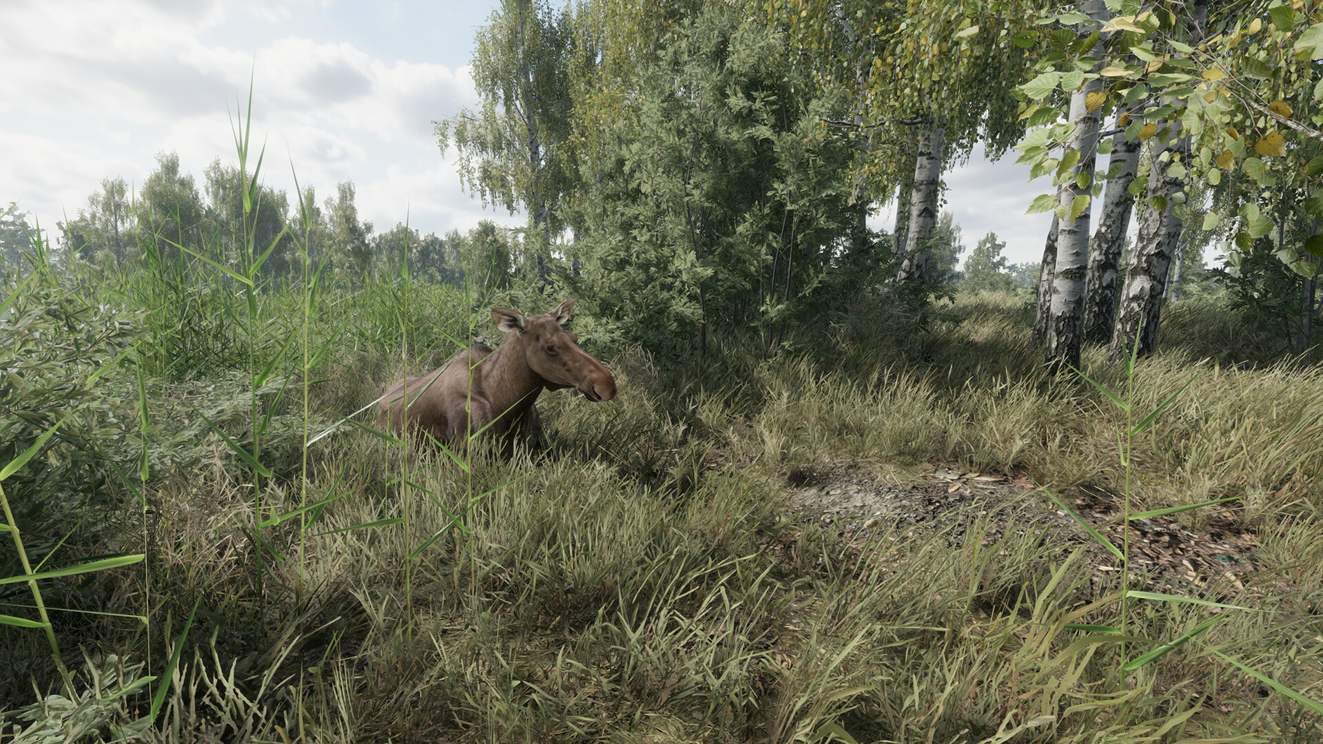 On the Hunt screenshot #12