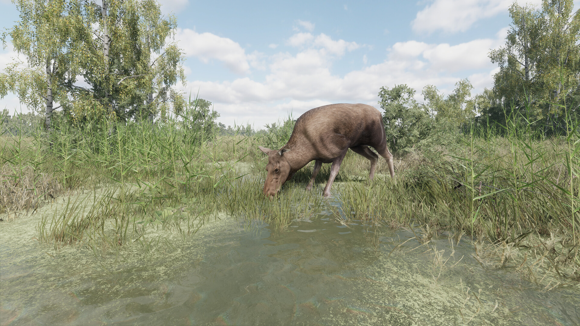 #9. On the Hunt (Steam) بواسطة: Alekseev
