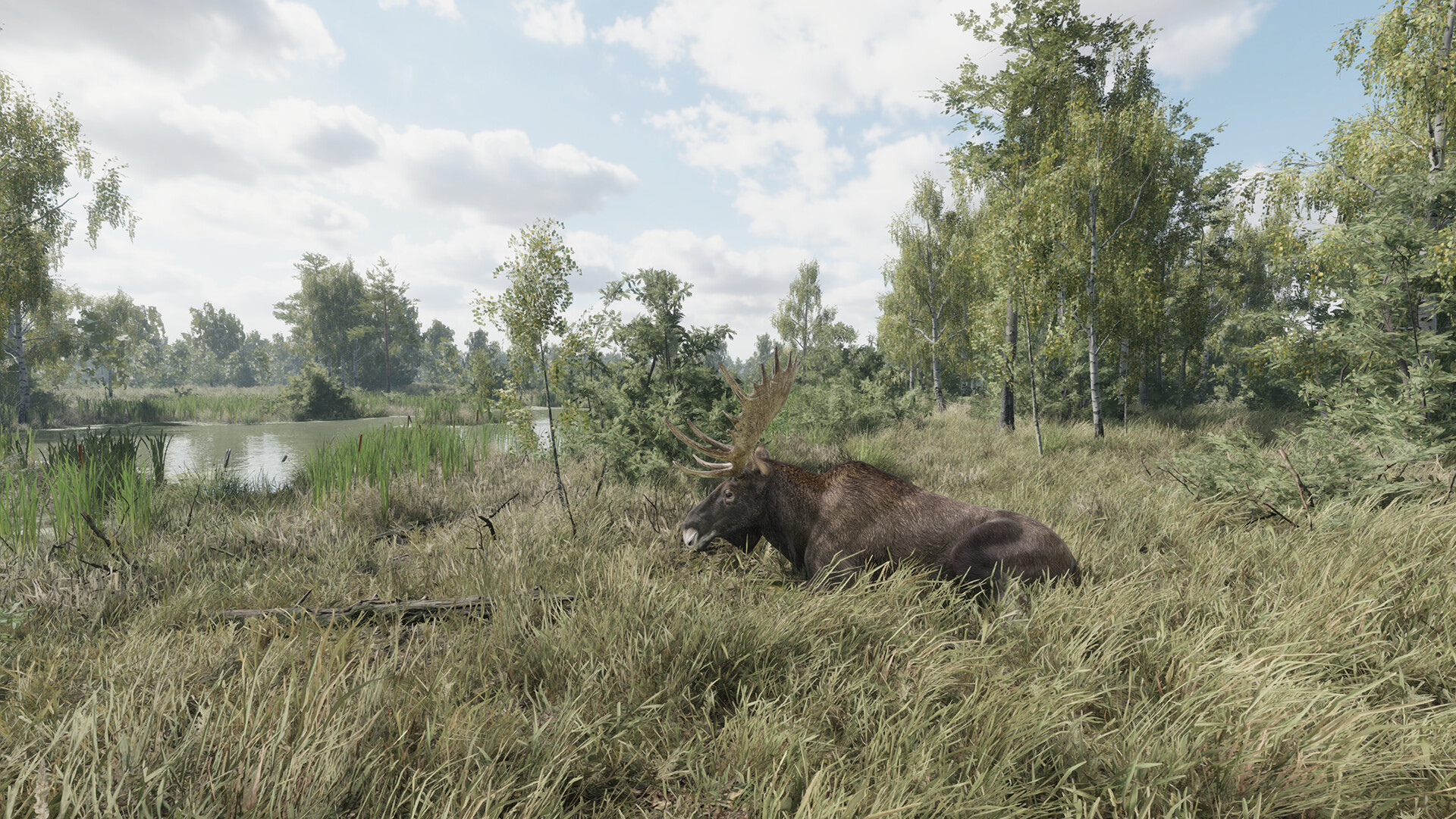 #8. On the Hunt (Steam) بواسطة: Alekseev