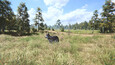 Screenshot #9