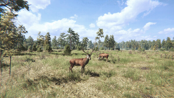 On the Hunt screenshot 4