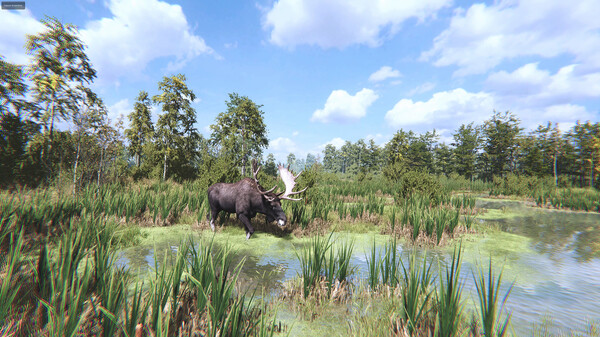 On the Hunt screenshot 6