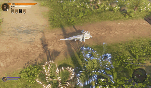 Coridden_New_2.gif