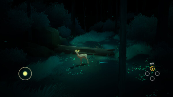 Way To The Woods