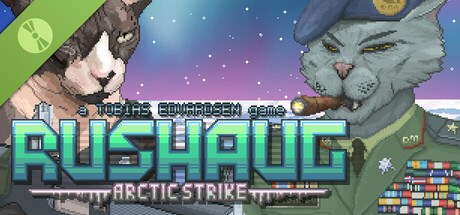 Купить ключ дешево Rushaug. Arctic Strike