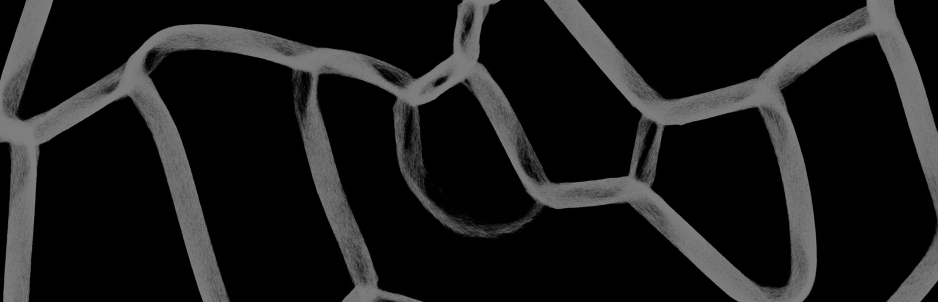 PHYSARUM: Slime Mold Simulator
