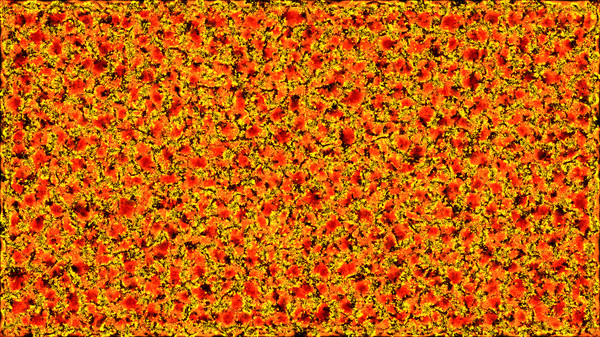 Screenshot z PHYSARUM: Slime Mold Simulator