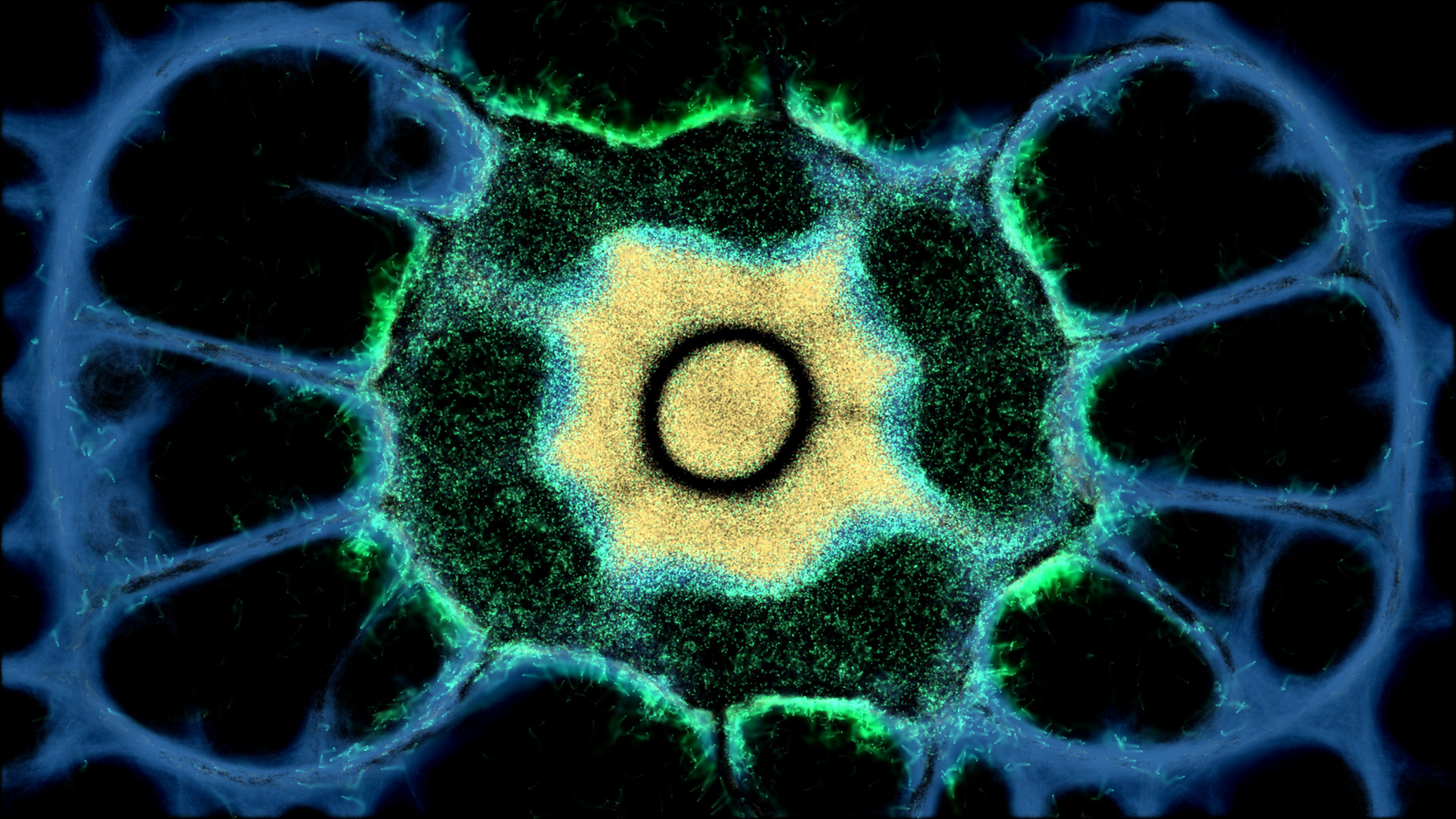PHYSARUM: Slime Mold Simulator Featured Screenshot #1