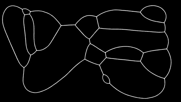 Screenshot z PHYSARUM: Slime Mold Simulator