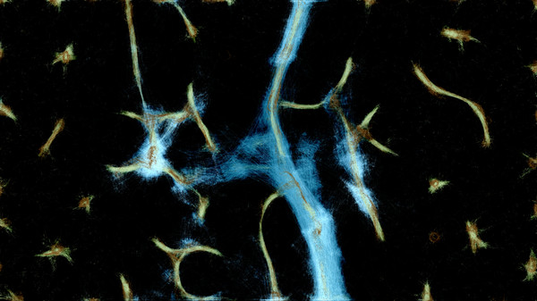 Screenshot z PHYSARUM: Slime Mold Simulator