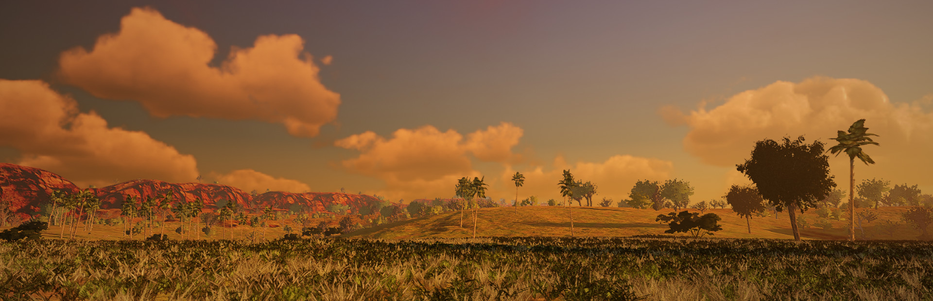 African Safari