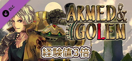 Experience x3 - Armed Emethの作品画像