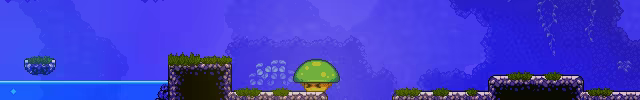 Lone Fungus video 7