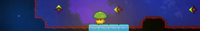 Lone Fungus image