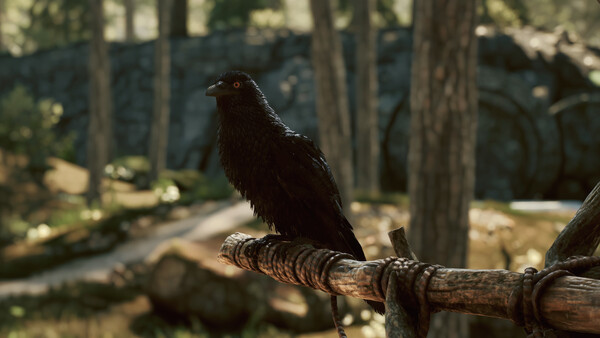 黑森林迷踪-游戏截图