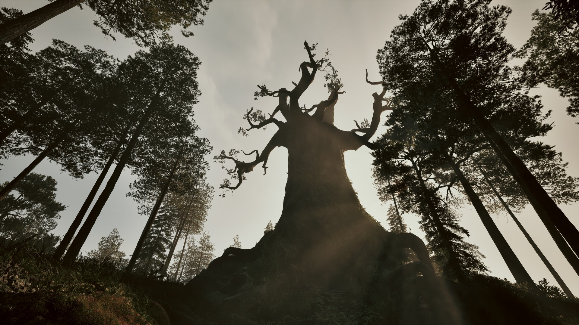 Among the Trolls screenshot #7