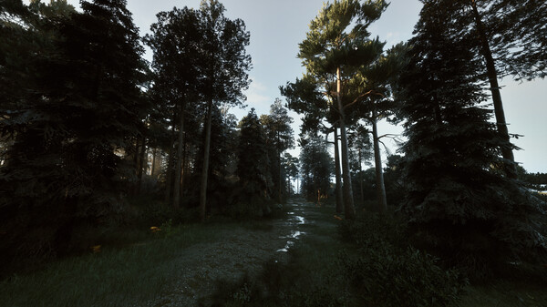 黑森林迷踪-游戏截图