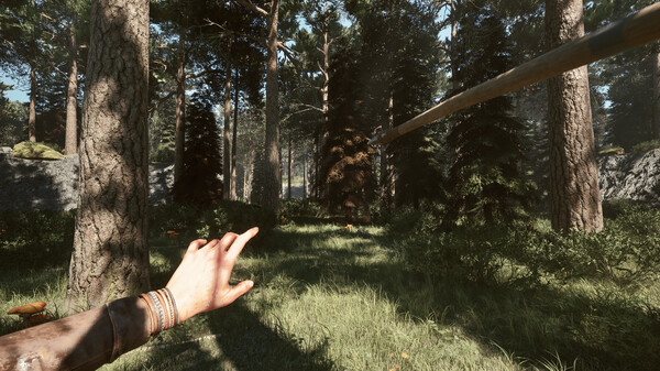 黑森林迷踪-游戏截图