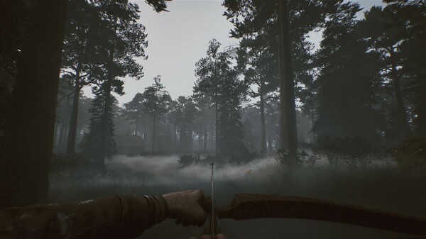 黑森林迷踪-游戏截图