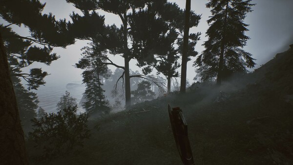 黑森林迷踪-游戏截图