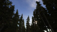 Screenshot #17