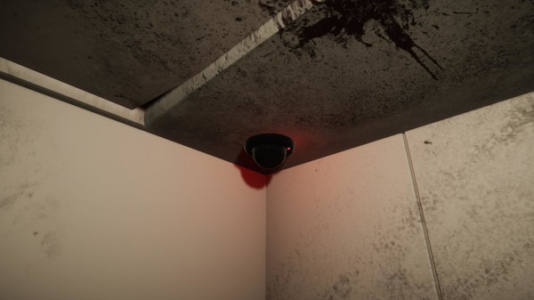 Twelve Floors Below..