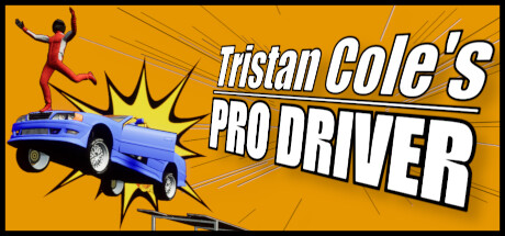 Tristan Cole's Pro Driver steam charts