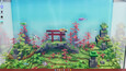 Screenshot #8