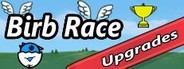 Birb Race