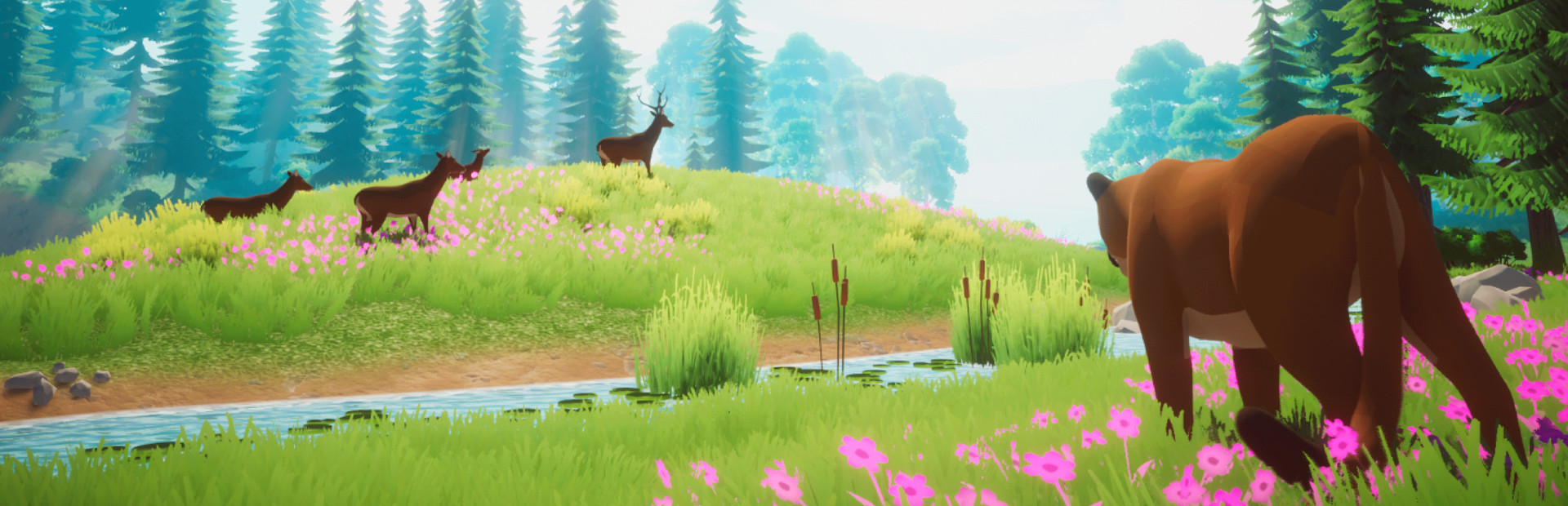 Pandora : Wild Origins
