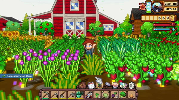 Cornucopia®