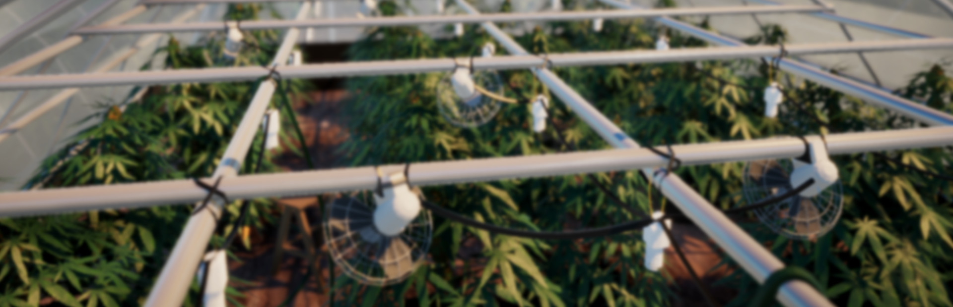 Drug Grower Simulator