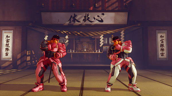 STREET FIGHTER V - BCRF Pink Ribbon Bundle