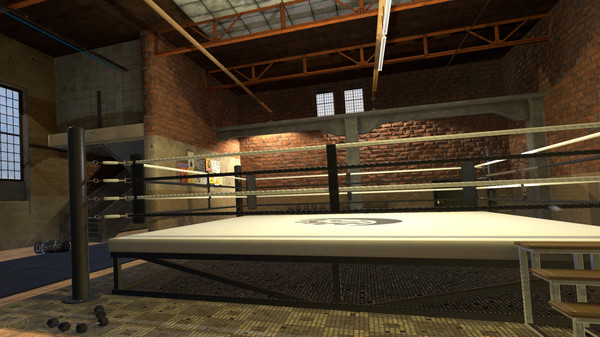 Era of Combat: Boxing