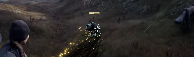 Island of Winds video 10