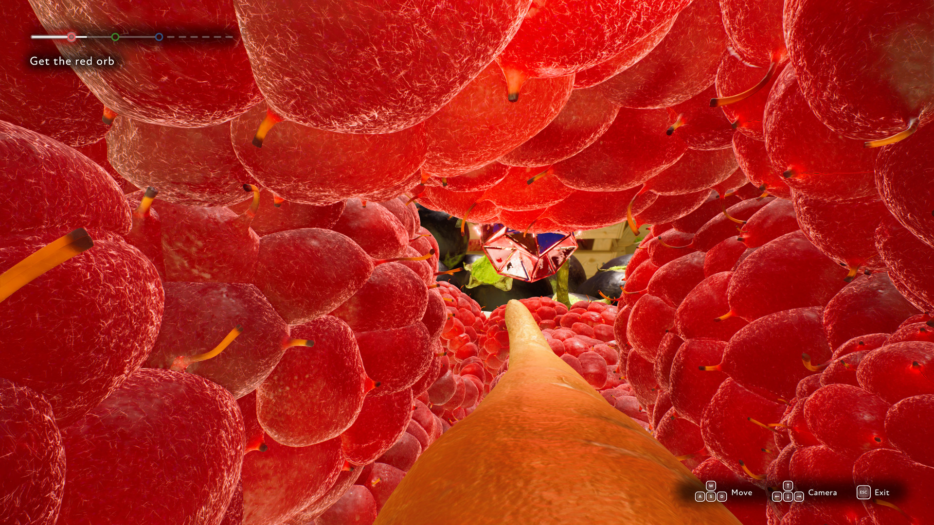 The Market of Light screenshot screenshot 5