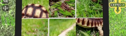 Vizzle video 3