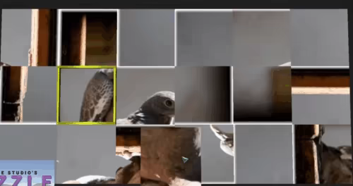 Vizzle video 1