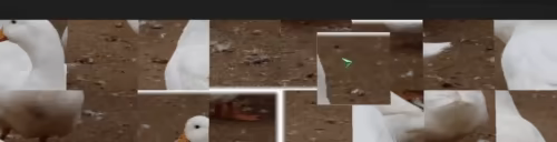 Vizzle video 2