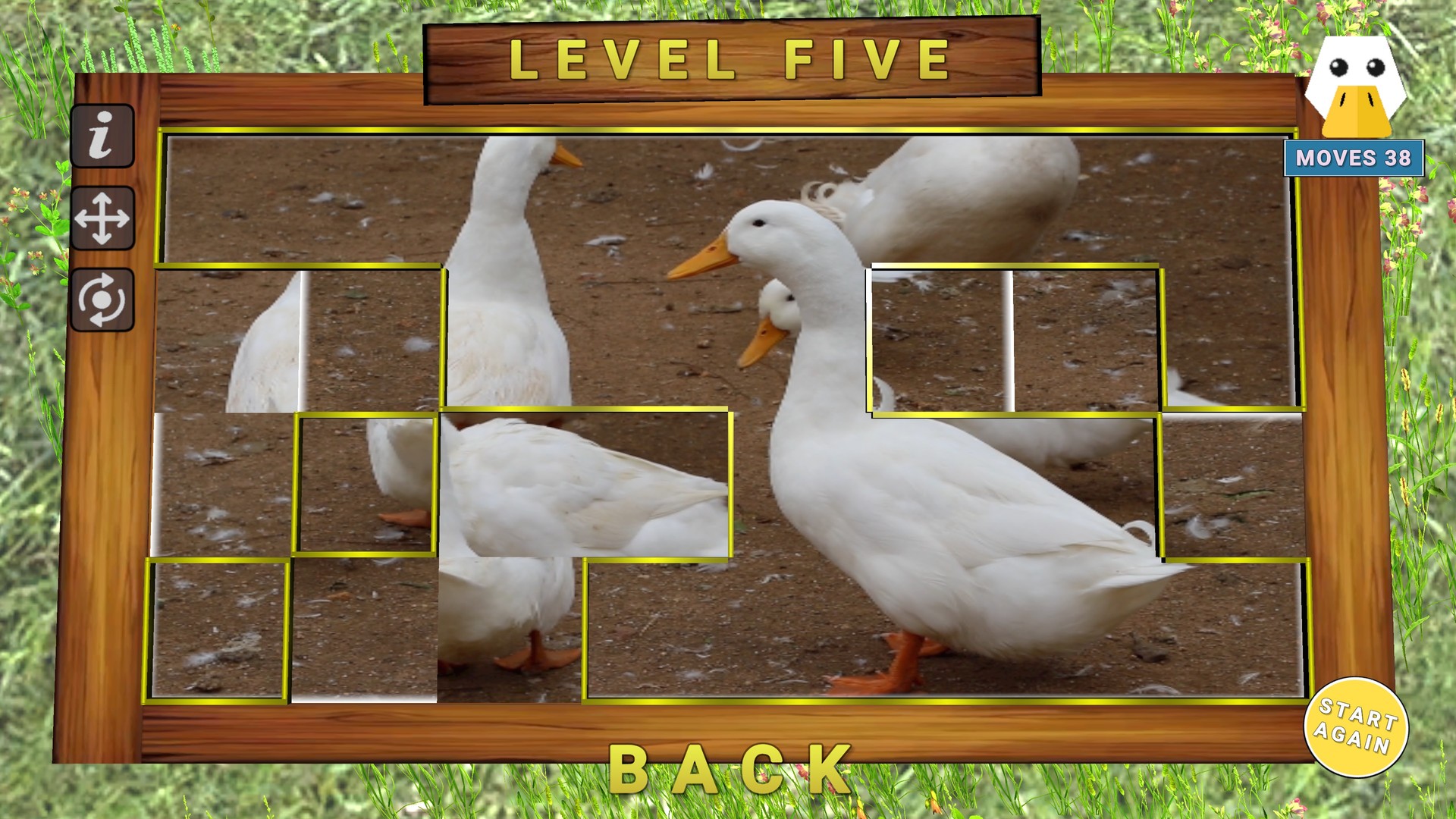 Screenshot 12