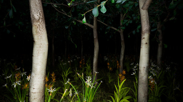 PROPHECY OF THE NUN screenshot 3