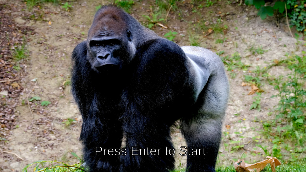 #1. Hodl Simulator (Steam) di: Santaworks