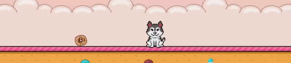 DOG'S DONUTS video 4