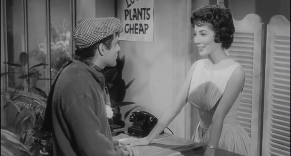 ROUGH KUTS: The Little Shop of Horrors — скриншот 4